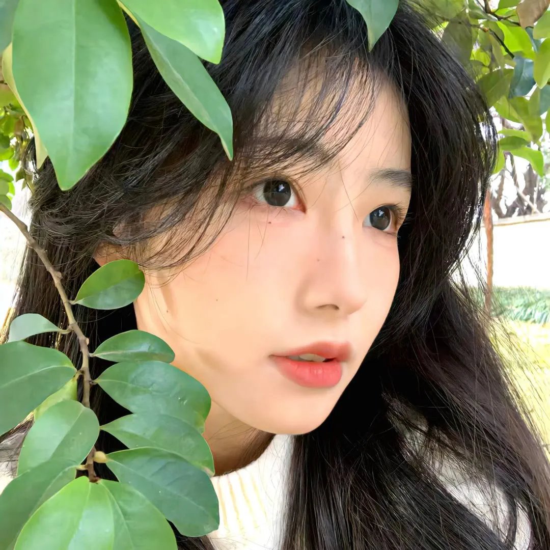 网美嬉游记