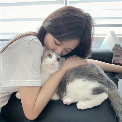 大唐女巡按
